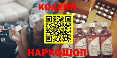 СК Гатчина