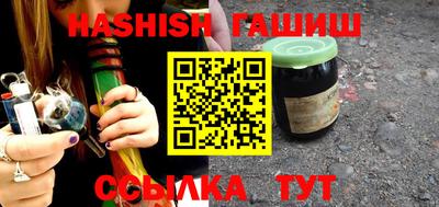 СК Гатчина